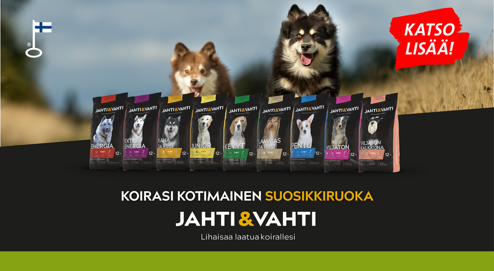 JV TV yleinen tammikuu 2026