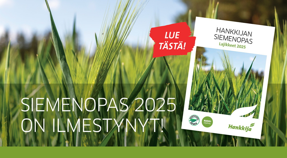 Siemenopas 2025