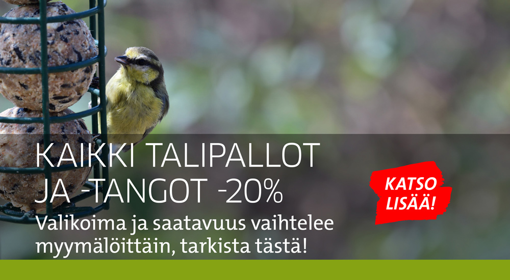 Talipallot ja tangot kampanja helmikuu