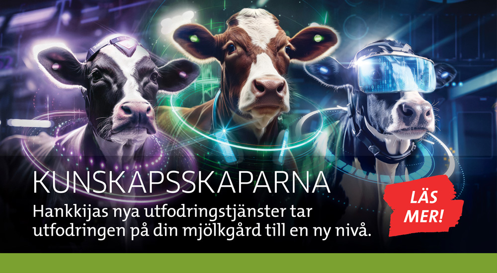 Tieteentekijät swe