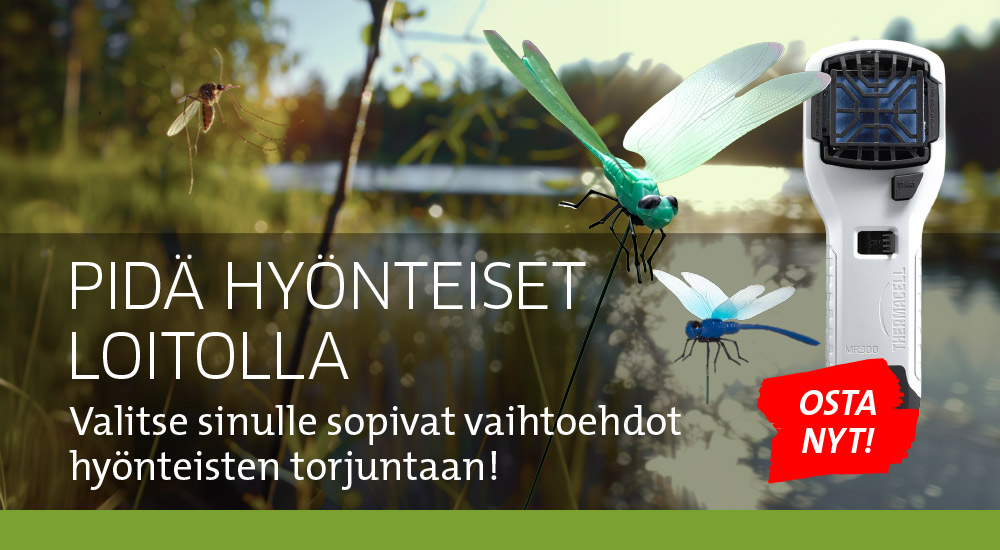 Hyönteisten torjunta