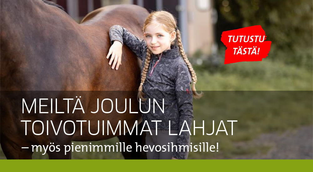 Joululahjat lapsille ratsastaja