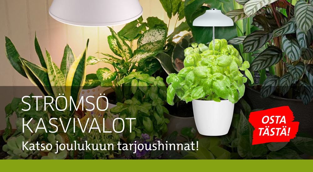 Strömsö kasvivalot