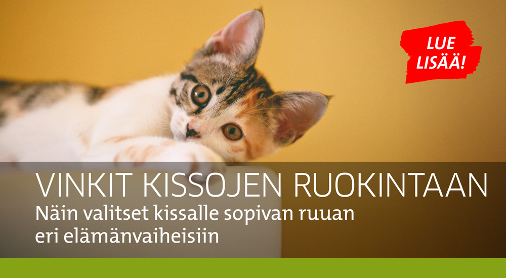 Kissojen ruokintaohjeet 012026