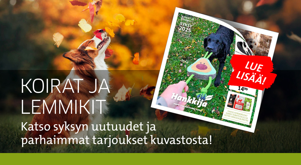 Koirat ja lemmikit kuvasto 112025