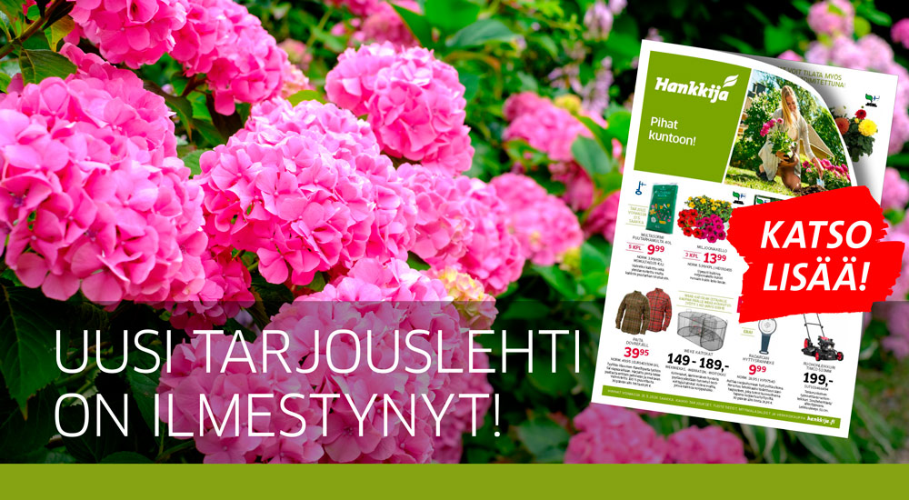 Tarjouslehti 052026