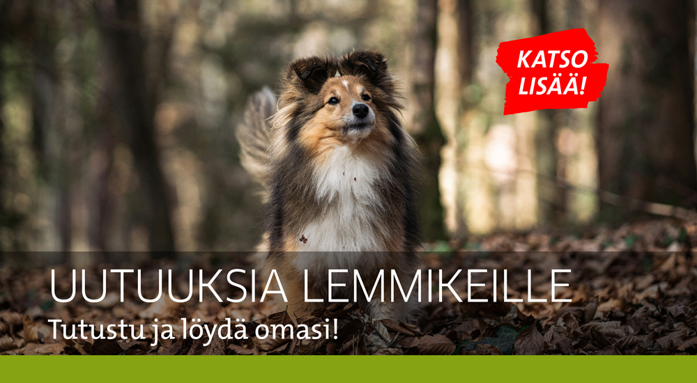 Lemmikit uutuudet syksy 2024