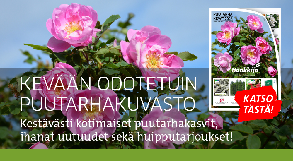 Puutarhakuvasto vko 17