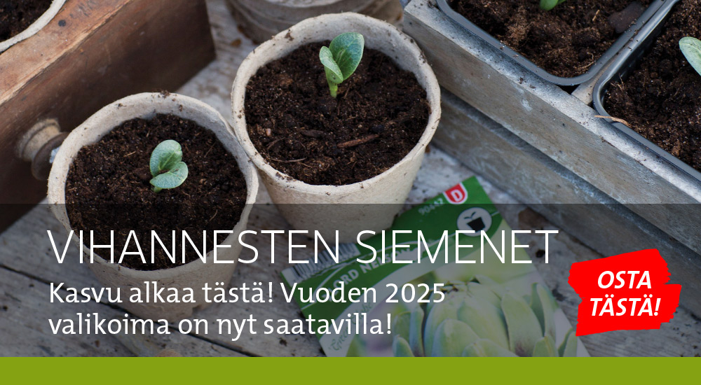 Vihannesten siemenet