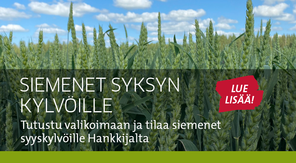 Siemenet syksyn kylvöille