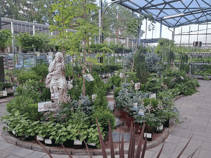 Hankkija Kuopio Siilinjärvi, Puutarha