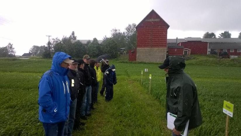 Kasvuohjelma-tilaisuuden osallistujia pellolla seuraamassa koeruutuja sateisessa säässä.
