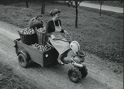 Omienien kuljetusta sadonkorjuuaikaan Hankkijan Keskustaimistolla