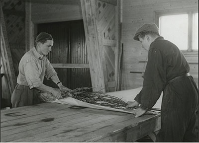 Taimia pakataan kuljetusta varten Hankkijan Keskustaimistossa