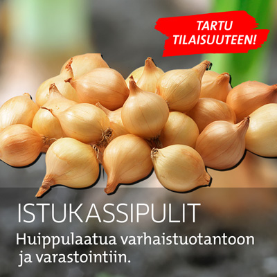 Istukassipulit