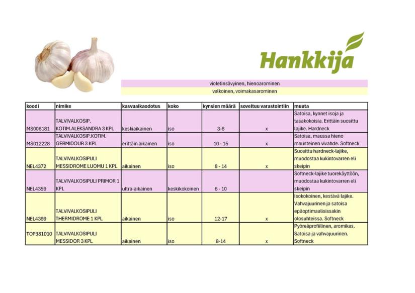 Vertailutaulukko valkosipulilajikkeista