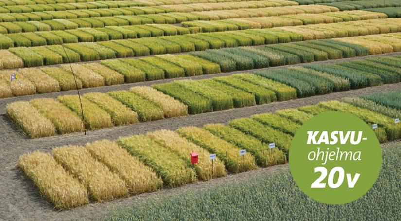 Hankkijas tillväxtprogram 20 år