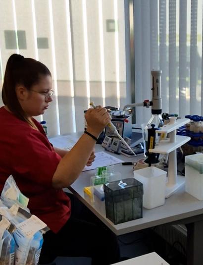 Laboratorion työntekijä pipetoi näytettä mittalaitteiden äärellä luonnonvalossa.