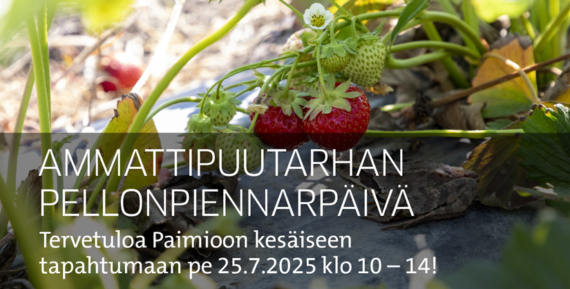 Ammattipuutarhatapahtumaa kesällä 2025