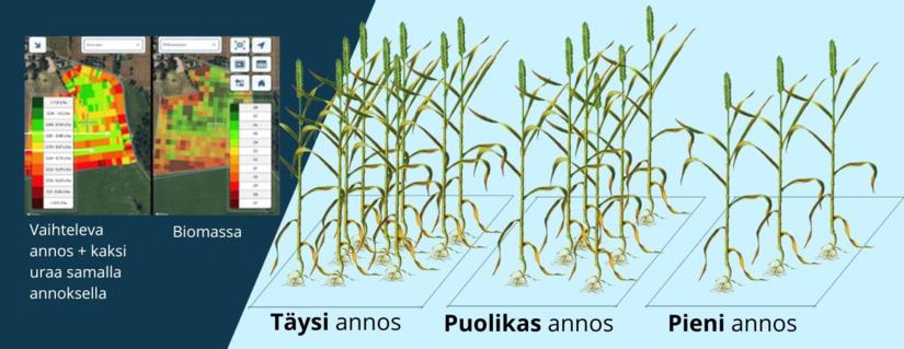 biomassa eri annoksilla