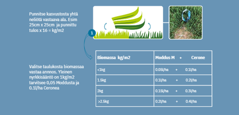 biomassa, Moddus + Cerone