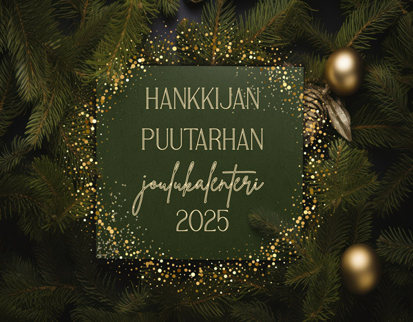 Hankkijan Puutarhan joulukalenteri 2025 jouluisessa kuvassa