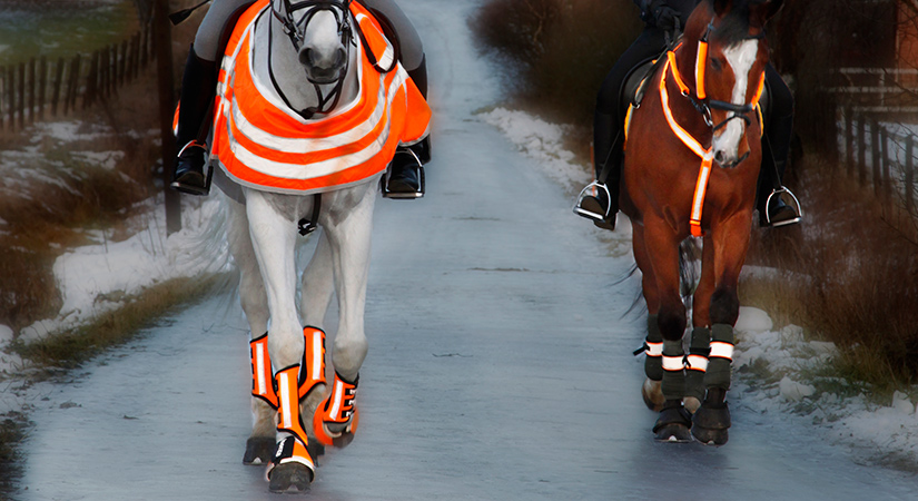 Kaksi ratsukkoa talvella, molemmilla hevosilla heijastimet päällä asianmukaisesti.
