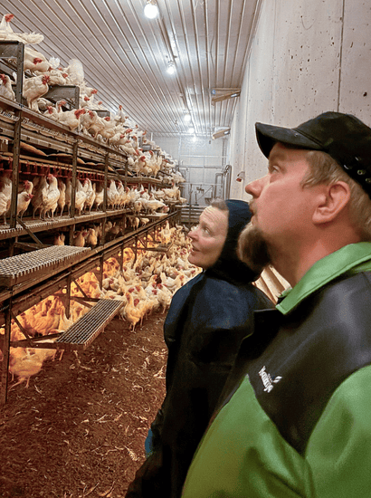 Kuvassa Erika Ja Tobias seuraavat kanoja kerroslattiatiloissa.