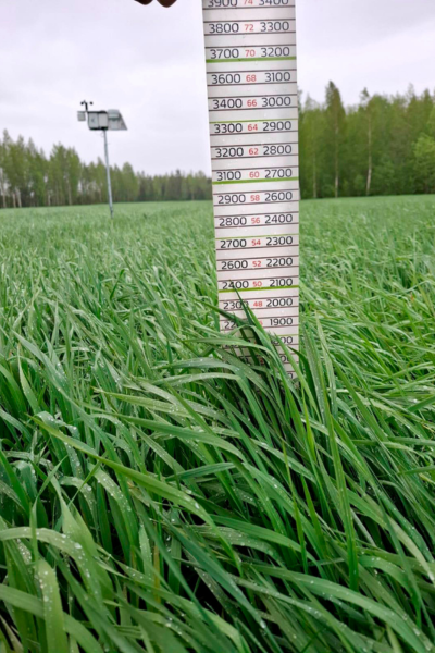 Sääasema nurmikasvustolla