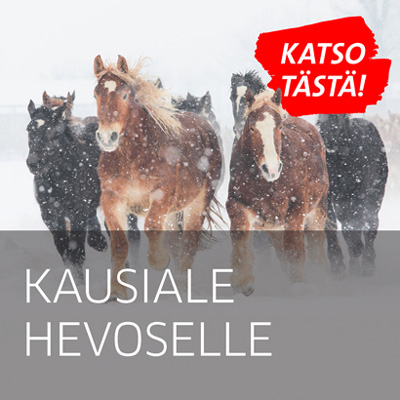 Hevostarvikeale hevoselle