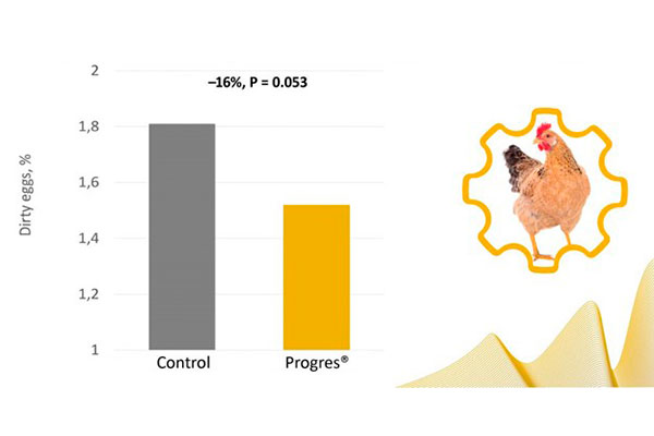 Progres®-rehun vaikutus