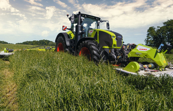 CLAAS-traktori niittämässä nurmipeltoa niittokoneella.