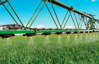 punahomeen torjuntaruiskutus