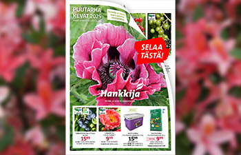 Hankkijan puutarhakuvasto, kevään 2025 kasvivalikoima