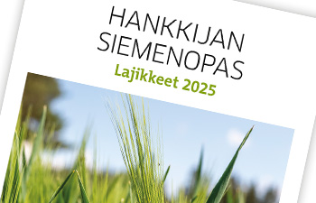 Hankkijan siemenopas, Lajikkeet 2025