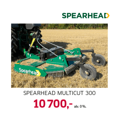 Spearhead Multicut 300