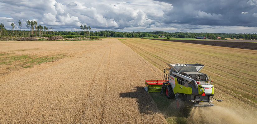 Claas Trion 720 niittää menemään pellolla.
