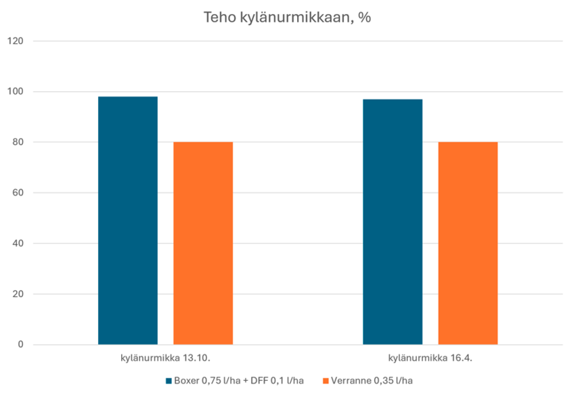Koeasetelma syysvehnällä Inkoossa, jossa kylänurmikan torjuntateho mitattiin syksyllä ja keväällä.