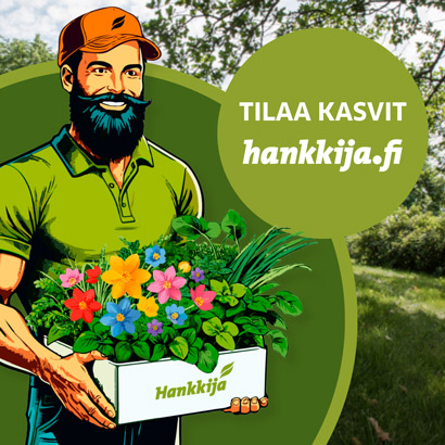 Kasvit ja taimet verkkokaupasta