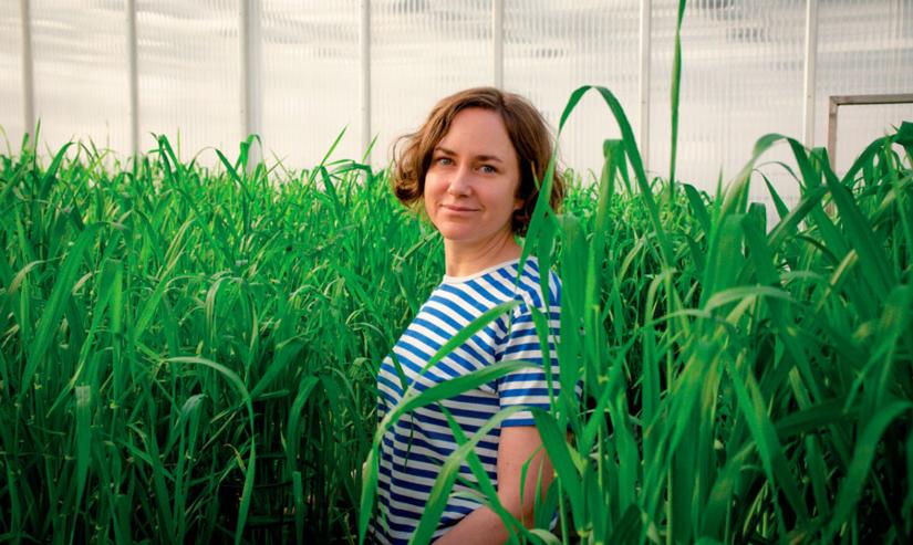 Kasvinjalostaja Hanna Haikka