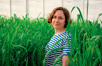 Kasvinjalostaja Hanna Haikka