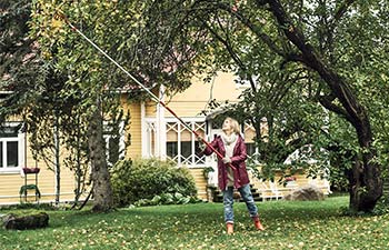 Työvälineet syksyn pihatöihin