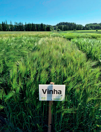 Vinha monitahoinen ohra