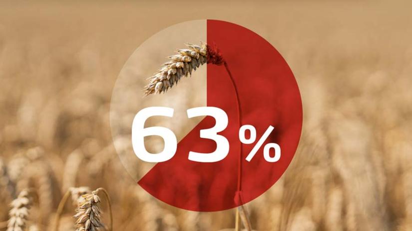 63 prosenttia Suomen peltojen maanäytteistä kuuluu fosforin viljavuusluokkiin huono, huononlainen tai välttävä.
