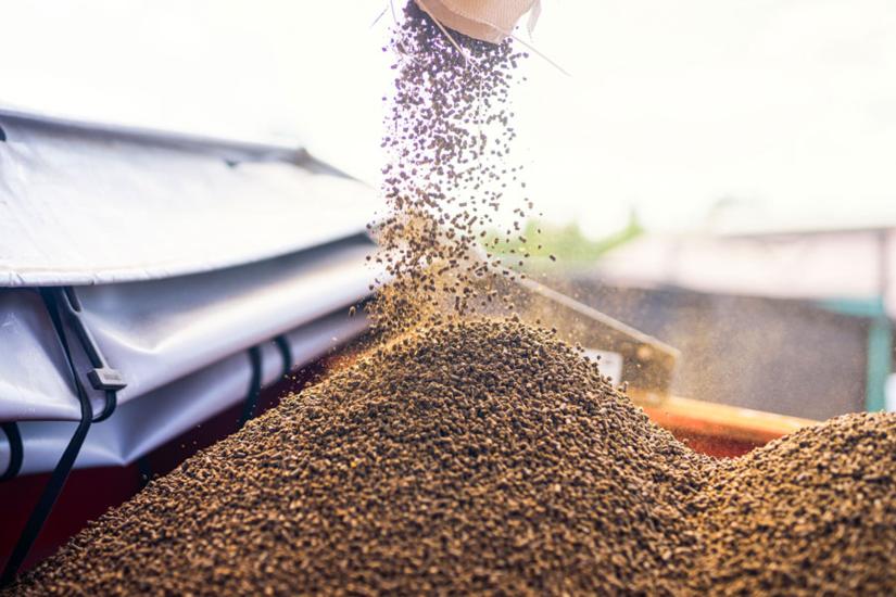 Luomulannoitteet ennakkokauppa