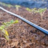 Tihkuletku Rivulis Ro-Drip 22 mm 8-30-300 1737 m