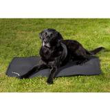 Koiranpeti sileä Back On Track