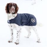 Koiran takki Nights Collection Back on Track