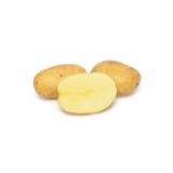 Siemenperuna Helmi 30-40 mm