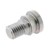 Terälapun pultti, 119013N